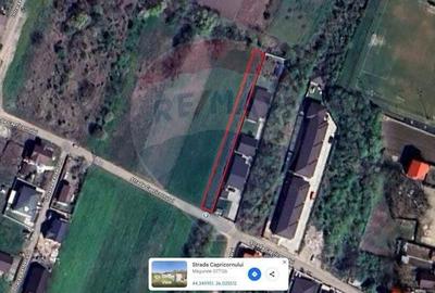 Teren Intravilan 1400mp in Magurele - 3