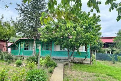 Casa traditionala cu potential de vanzare-HEMEIUS - 2