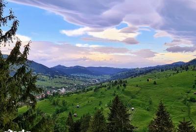 Teren de 26350 mp, în Vama - 4