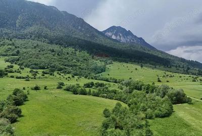 Comision 0% | Teren intravilan cu izvor | 2,730mp | Zarne?ti | - 3