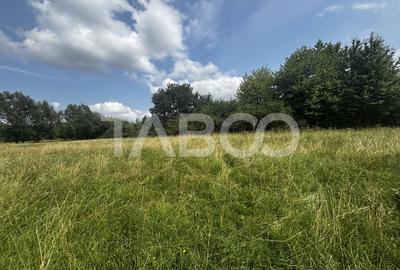 OPORTUNITATE INVESTITIE Teren de vanzare Cisnadie 3100 mp intravilan - 4