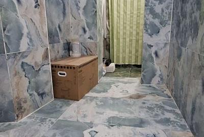 De Vanzare Casa 7 Camere Piata Operei - Plevnei - 8