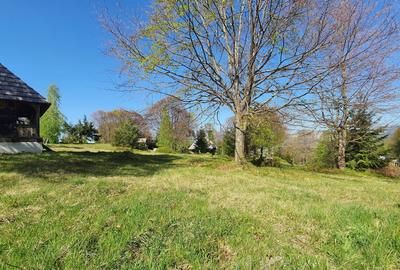 Când simți că ți-a lipsit ceva, e probabil Maramureșul. - 5