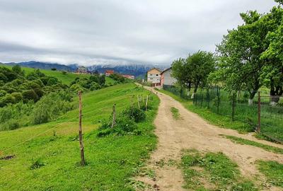Teren pentru casa de vacanta , Pestera , Brasov - 3