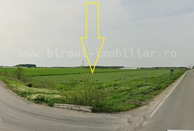 Teren Intravilan 4,5 ha – Poziție Strategică vis-à-vis de Aeroportul MK - 6