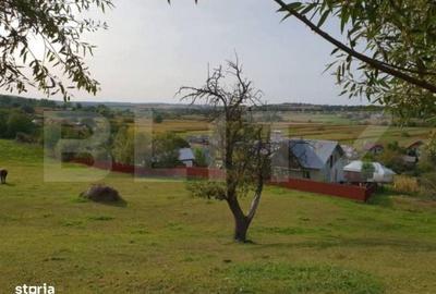 Casă cu 2 camere cu Teren 2700 Mp în Zvoriștea - 3