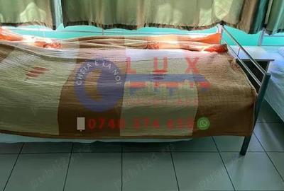 ID 10063 Locatie cu 10 paturi - DE INCHIRIAT- Piata Noua - 3