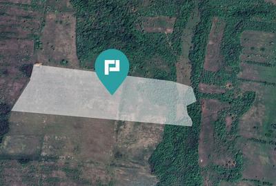 Teren arabil de 11,3 hectare in Bara, Timi? - 1