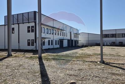 Spațiu industrial, de 2,645 mp, în Balotești - 18