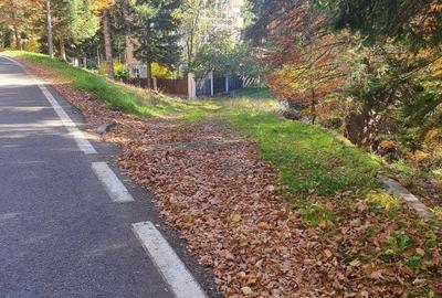 Teren Construcții intravilan de 2000 mp, în Poiana Brașov - 2