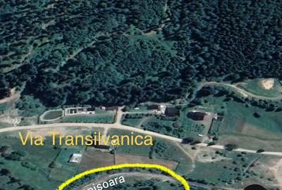 Teren de 6888 mp, în Putna - 10