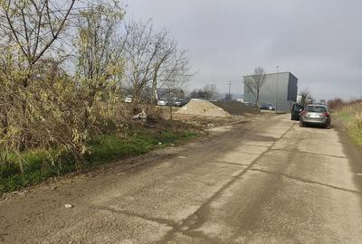 Teren de 1000 mp, în Ișalnița - 3