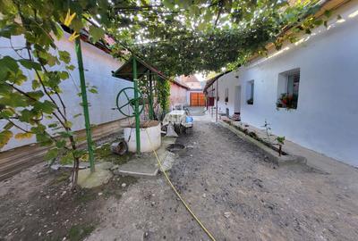 Casa cu o suprafata totala 1927 Mp, Seleus, Danes - 9