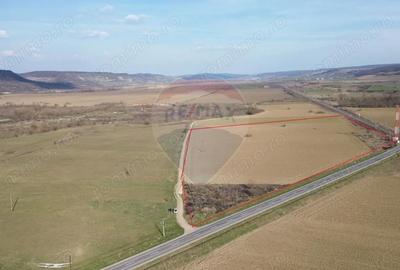 Teren de 19319 mp, în Hoghilag - 5