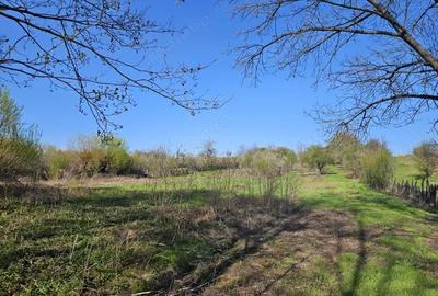 Vanzare teren 4606 mp - Sat Balta - Runcu - la aproximativ 20 km de Targu Jiu - 4