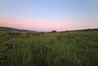 Teren Construcții extravilan de 1500 mp, în Periferie - 2