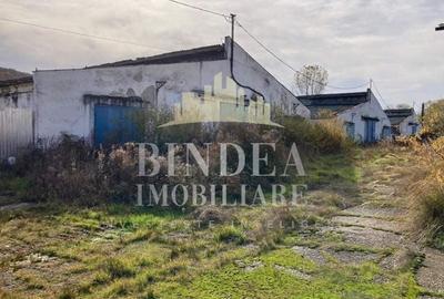 Ferma formata din 3 spatii generoase- iesire spre Autostrada A1 - 4