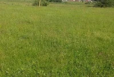 Teren de 3900 mp, în Central - 6