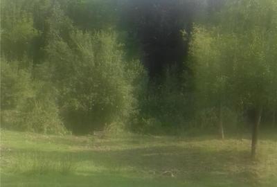 Teren în Central - 2