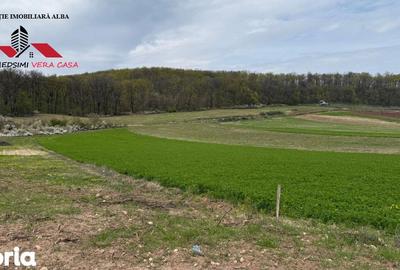 Teren de 833 mp, în Meteș - 3