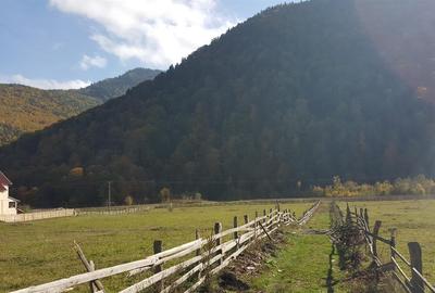 Teren Construcții intravilan de 6025 mp, în Lepșa - 4