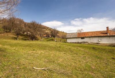 FILM! Pe 6.500mp teren + casa parinteasca, incantatoare pozitionare, acces facil - 9