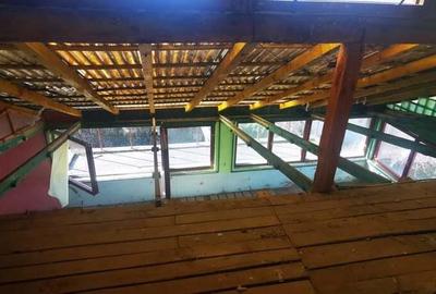 100 EURO mp apartament 100mp cu mansarda 50mp terase 40 mp curte 300mp negociabil - 15