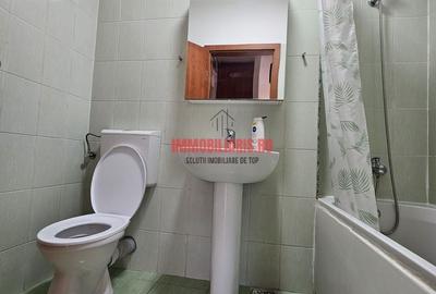 Apartament cu 2 camere semidecomandat, mobilat în Liviu Rebreanu - 10