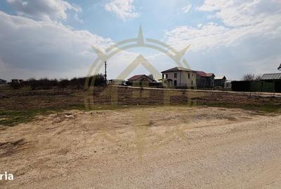 Spațiu comercial, în Tamași