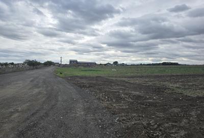 Teren de vanzare in Ovidiu - 6