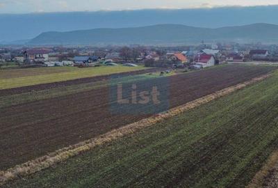 Teren agricol intravilan de 23600 mp, în Cășeiu - 4