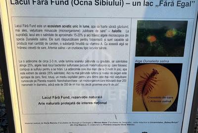 OPORTUNITATE la Ocna Sibiului - Teren Casa/Cabana langa Lacul Fara Fund - 5