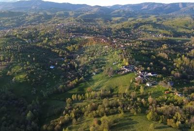 Teren de 15459 mp, în Bughea de Sus - 10