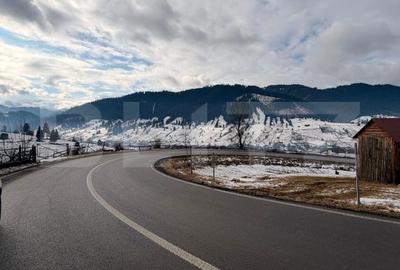 Teren de 8290 mp, în Sadova