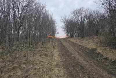 2 Terenuri de vanzare in Popesti Baciu 500/?+ 2.030/?. - 1