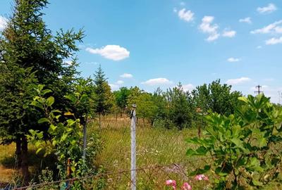 Teren în Hagiești - 4
