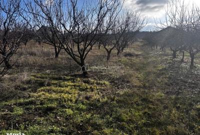 Spațiu comercial, în Central - 3