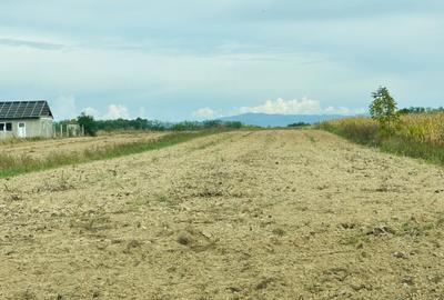 Spațiu comercial, în Micula