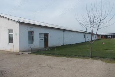 Spațiu comercial, de 100,000 mp, în Centura - 1