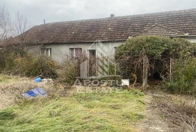 Casă cu 4 camere cu Teren 1509 Mp în Ghiroda - 6
