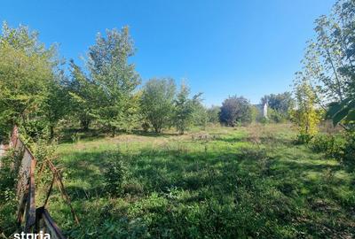 Teren de 500 mp, în Dămăroaia - 13