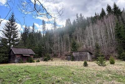 Spațiu comercial, în Dorna-Arini - 7