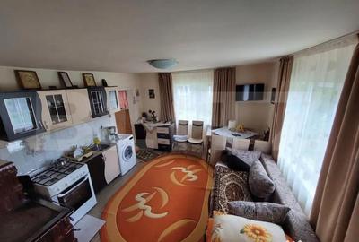 Casă cu 5 camere cu Teren 10000 Mp în Central