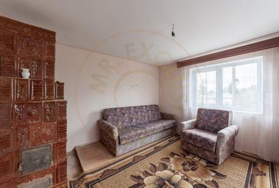 Casa traditionala la tara in Gliganu de Jos Com. Rociu-Arges la 30 km de Pitesti - 16