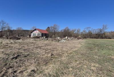 Teren de 2260 mp, în Dumbrăvița - 1