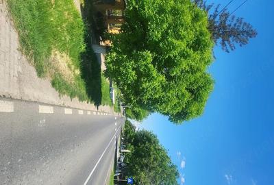 Casă în Băneasa - 4