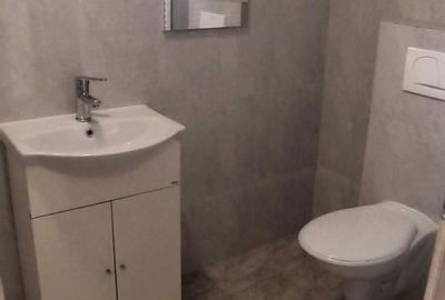 Casă cu 4 camere cu Teren 400 Mp în Dumbrăvița - 2