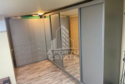 Penthouse cu 4 camere pe 2 nivele In Giroc langa scoala. - 19