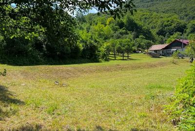 Spațiu comercial, în Central - 2
