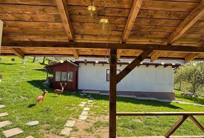 De vanzare pensiune in Com Tasca, Teren 3800 mp, toate utilitatile, 204.990 euro - 17